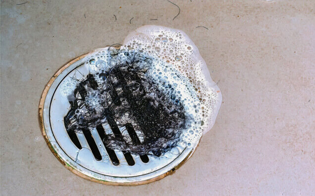 https://blockeddrainsscarborough.com.au/uploads/2025/07/blocked-shower-drains-76585.jpg