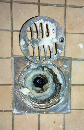 https://blockeddrainsscarborough.com.au/uploads/2025/07/blocked-shower-drains-86331.jpg