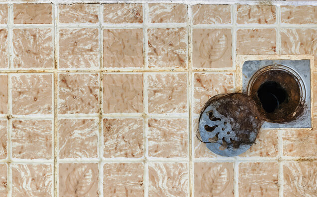 https://blockeddrainsscarborough.com.au/uploads/2025/07/blocked-shower-drains-91576.jpg