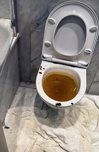 https://blockeddrainsscarborough.com.au/uploads/2025/07/blocked-toilet-27793.jpg